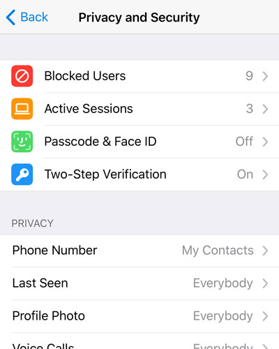 A screenshot of the redesigned Privacy & Security settings screen